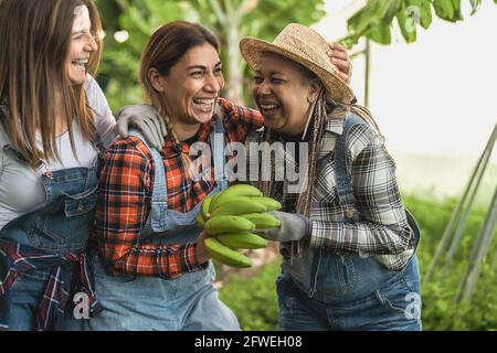 Glückliche Farmerinnen, die Spaß an der Arbeit in der Bananenplantage haben - Lifestyle-Konzept für Farmmenschen Stockfoto