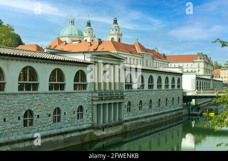 Kathedrale des Heiligen Nikolaus, Ljubljana, Slowenien Stockfoto