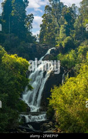 Steavenson Falls, in der Nähe von Marysville, Victoria, Australien Stockfoto