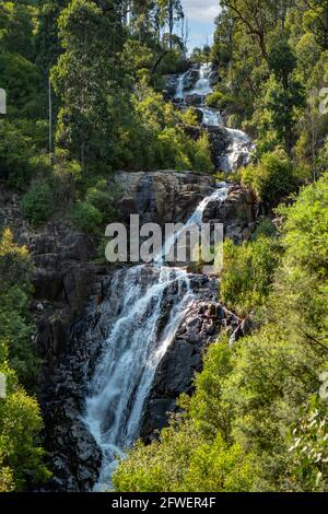 Steavenson Falls, in der Nähe von Marysville, Victoria, Australien Stockfoto