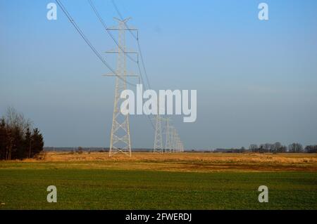 Strommast und Bäume gegen den Himmel. Stockfoto