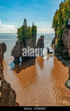 The Flowerpots, Hopewell Rocks, New Brunswick, Kanada Stockfoto