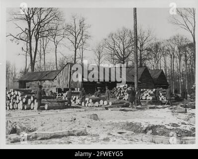 Erster Weltkrieg, erster Weltkrieg, Westfront - EIN Blick auf Holzarbeiten und Holzstämme Stockfoto