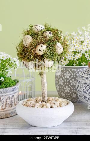 Schöne Osterdekoration mit Blumen, Moos und Kerzen. Partydekor Stockfoto