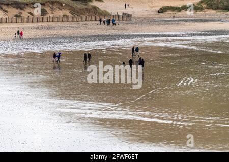 Menschen und Hunde, die über die Daymer Bay bei Low Tide, North Cornwall spazieren. Stockfoto