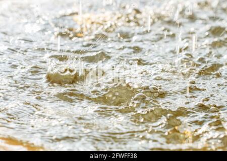 Regentropfen fallen auf die Wasseroberfläche. Grafikressourcen Stockfoto