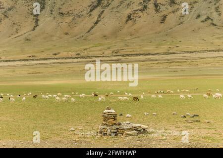 Verschiedene Ausblicke auf den Manali Leh Highway Stockfoto