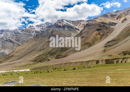 Verschiedene Ausblicke auf den Manali Leh Highway Stockfoto