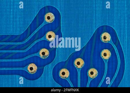 Abstraktes Makrofoto von Steckverbinderspuren und auf blauer Leiterplatte (pcb) von einem alten Canon Taschenrechner im Kreditkartenformat. Für Elektronikdesign Stockfoto