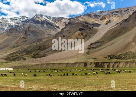 Verschiedene Ausblicke auf den Manali Leh Highway Stockfoto