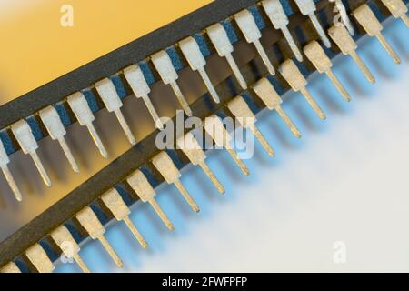 Makroaufnahme der Stiftschaltungen des Halbleiters PIC16F77-I/P von Microchip Technology. Für Elektronik abstrakt, Industriekomponenten abstrakt. Stockfoto