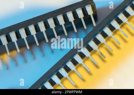 Makroaufnahme der Stiftschaltungen des Halbleiters PIC16F77-I/P von Microchip Technology. Für Elektronik abstrakt, Industriekomponenten abstrakt. Stockfoto