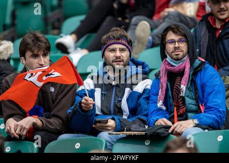 Twickenham, London, Großbritannien. Mai 2021. European Rugby Champions Cup Final, La Rochelle gegen Toulouse; Toulouse-Fans an den Tribünen Credit: Action Plus Sports/Alamy Live News Stockfoto