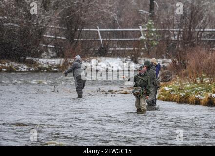 Mann und Frau fliegen an einem schneit Tag in einem Fluss fischen. Estes Park, Colorado, USA. Stockfoto