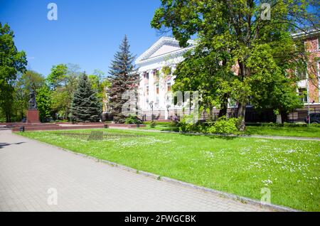 Stadtzentrum von Königsberg, Denkmal für Peter den Großen. Russland. Stockfoto