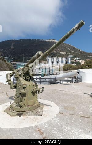 Flugabwehrkanone des Zweiten Weltkriegs auf der Napier of Magdala Battery mit der 100-Tonnen-Kanone im Hintergrund, Gibraltar Stockfoto