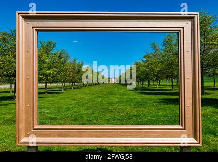 Gerahmte Ansicht des Archerfield House durch die von Bäumen gesäumte Allee bei Sonnenschein, East Lothian, Schottland, Großbritannien Stockfoto