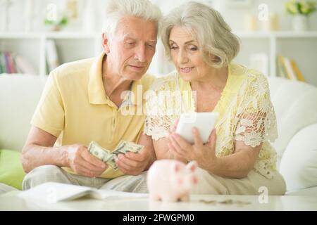 Fröhliches Paar von Senioren, die mit dem Taschenrechner Geld zählen Stockfoto