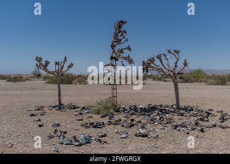 Zeigen Sie Bäume in Slab City in der Nähe von Salton Sea, Südkalifornien Stockfoto