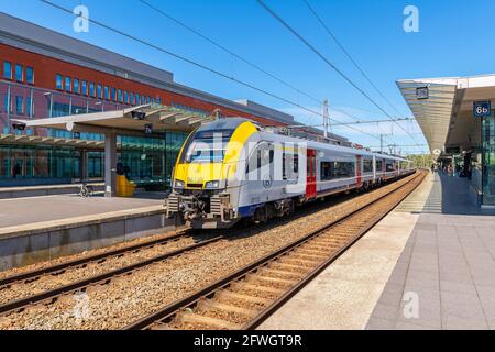 Zug Lokomotive mit Waggons im Bahnhof von Brügge mit Gleisen und Bahnsteigen, Belgien. Stockfoto