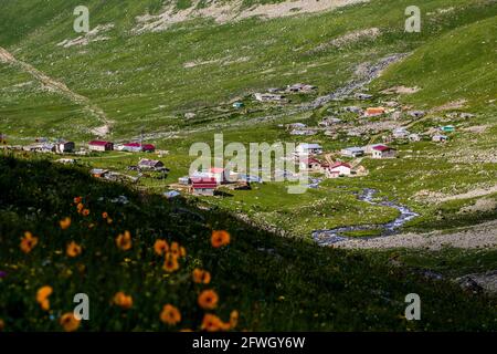 Ein Bild von Häusern auf Bergen, wo die Natur aus dem Bosse sprudelt. Türkei, Schwarzmeerregion. Stockfoto