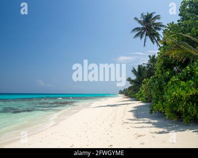 Malediven tropische Inseln Panorama-Szene, idyllische Strand Palmenvegetation und klares Wasser Indisches Meer, Ferienort Urlaub Stockfoto