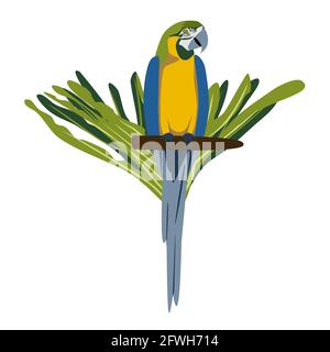Tropisch handgezeichneter farbenfroher Ara parrott mit Blatthintergrund. Ara-Papagei. Vektordarstellung auf weißem Hintergrund isoliert. Stock Vektor