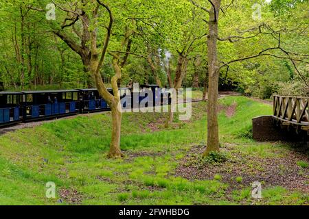 Exbury Gardens Railway, die 1.25 Meilen (16 km) durch den nördlichen Teil dieser spektakulären Gärten fährt. Miniatur-Dampfzug in Exbury Gardens - H Stockfoto