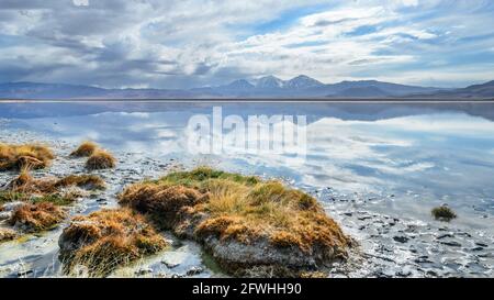 Laguna Santa Rosa, Parque Nacional Nevado de Tres Cruces, Chile Stockfoto