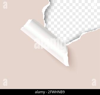 Zerrissenes Bastelpapier-Loch über transparentem Hintergrund realistische Vektor-Vorlage Stock Vektor