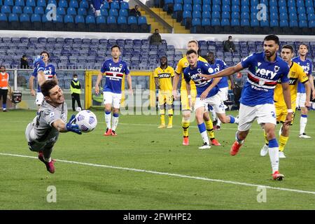 GENUA, ITALIEN - 22. MAI: Karlo Letica von Sampdoria rettet sich während des Serie-A-Spiels zwischen UC Sampdoria und Parma Calcio im Stadio Luigi Ferraris am 22. Mai 2021 in Genua, Italien (Foto: Ciro Santangelo/Orange Picturs) Stockfoto