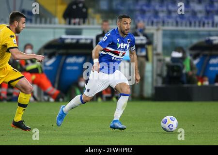 GENUA, ITALIEN - 22. MAI: Fabio Quagliarella von Sampdoria während der Serie EIN Spiel zwischen UC Sampdoria und Parma Calcio im Stadio Luigi Ferraris am 22. Mai 2021 in Genua, Italien (Foto: Ciro Santangelo/Orange Picicos) Stockfoto