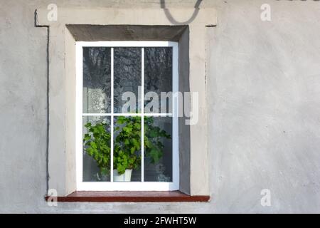 Kunststofffenster in einem alten renovierten Haus Stockfoto