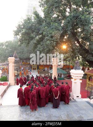 Junge tibetische Mönche, die sich für Morgengebete im Mahabodhi-Tempelkomplex in Bodhgaya, Bihar, Indien, anstellen, November 2017 Stockfoto