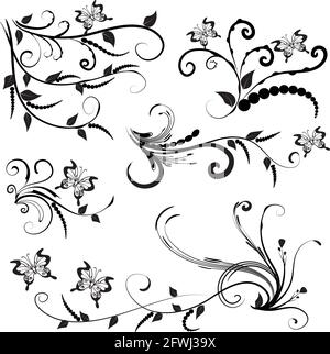 Kalligrafische Dekorationselemente mit Linien und Blatt und Blumen Schmetterling Stockfoto