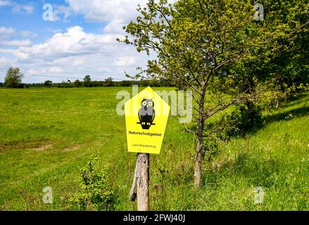 19. Mai 2021, Brandenburg, Rühstädt: Ein Schild auf einer Wiese im Storchdorf Rühstädt im Prignitz-Gebiet der UNESCO-Biosphärenreservat Elbe-Brandenburg weist auf das Naturschutzgebiet hin. Als eine der größten Storchenkolonien Mitteleuropas trägt Rühstädt den Titel „Europäisches Storchendorf“. Foto: Jens Kalaene/dpa-Zentralbild/ZB Stockfoto