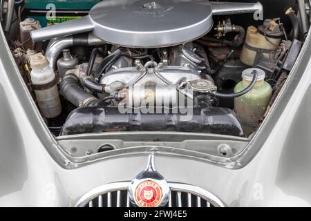 1966 Jaguar 3.4-Liter-Marke 2 Limousine Oldtimer auf Ausstellung auf einer Automshow in Sydney, Australien Stockfoto