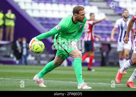 Jan Oblak vom Atletico de Madrid während des Fußballspiels der spanischen Meisterschaft La Liga zwischen Real Valladolid und Atletico de Madrid am 21. Mai 2021 im Jose Zorrilla-Stadion in Valladolid, Spanien - Foto Irina R Hipolito / Spanien DPPI / DPPI / LiveMedia Stockfoto