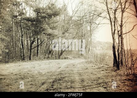 Schwarzweiß-Foto einer Heidelandschaft, das mit einer analogen Kamera erstellt wurde. Der Druck wurde nachbearbeitet, um dem Foto einen nostalgischen Look zu verleihen Stockfoto