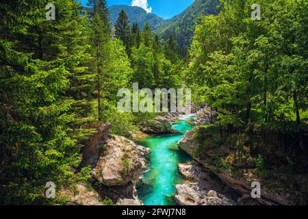 Bekannter Rafting- und Kajakplatz in Europa. Erholungsort und Kajakziel. Wunderbarer Fluss Soca und Schlucht im grünen Wald, Bovec, Stockfoto