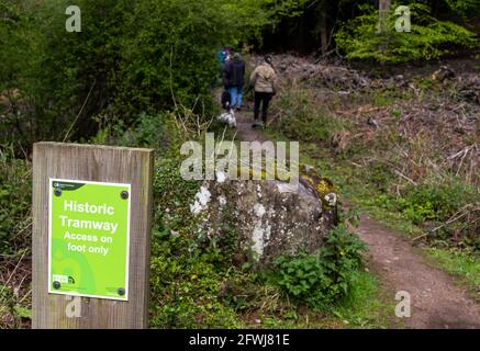 Old Tramway, Forest of Dean Bergbau und Abbau. Bixslade Geologie Spaziergang. Stockfoto