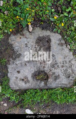 Old Tramway, Forest of Dean Bergbau und Abbau. Bixslade Geologie Spaziergang. Stockfoto