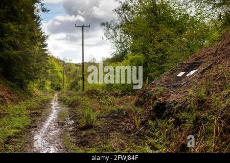 Old Tramway, Forest of Dean Bergbau und Abbau. Bixslade Geologie Spaziergang. Stockfoto