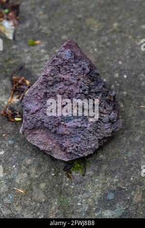 Rohes Eisenerz, Forest of Dean. Bixslade Geologie Spaziergang. Stockfoto