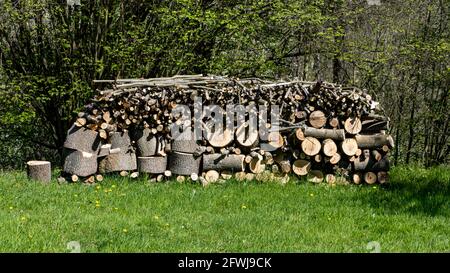 Auf der Wiese gelagertes Brennholz Stockfoto