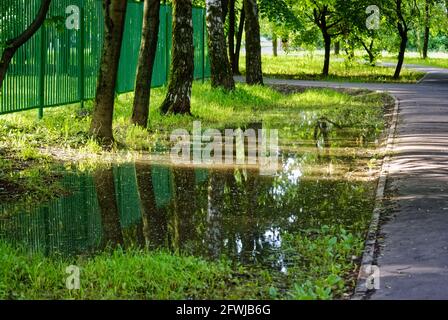Eine große Pfütze im Park neben dem Weg, im Sommer Stockfoto
