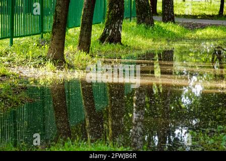Eine große Pfütze im Park neben dem Weg, im Sommer Stockfoto
