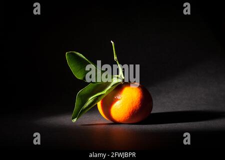 Süße Clementine mit Blättern auf dunklem Hintergrund Stockfoto