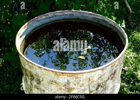 Im Sommer steht im Garten ein Metallwasserfass Stockfoto