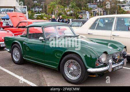 1962/63 Triumph TR4 im britischen Renngrün bei einem Sydney Oldtimer-Show, Australien Stockfoto